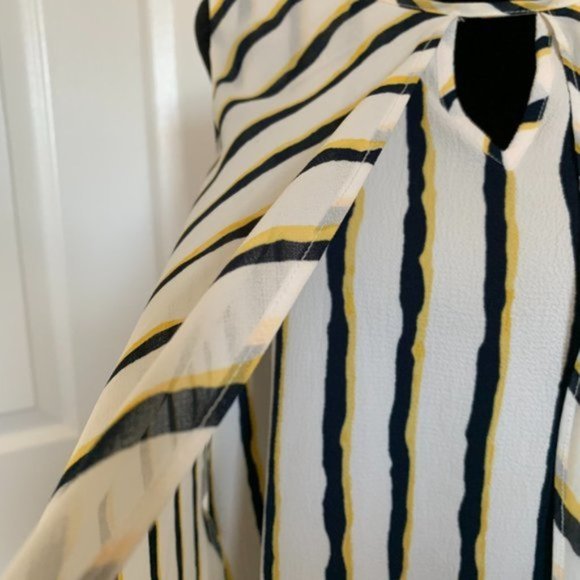 Striped Chiffon Overlay Blouse - Picture 3 of 4